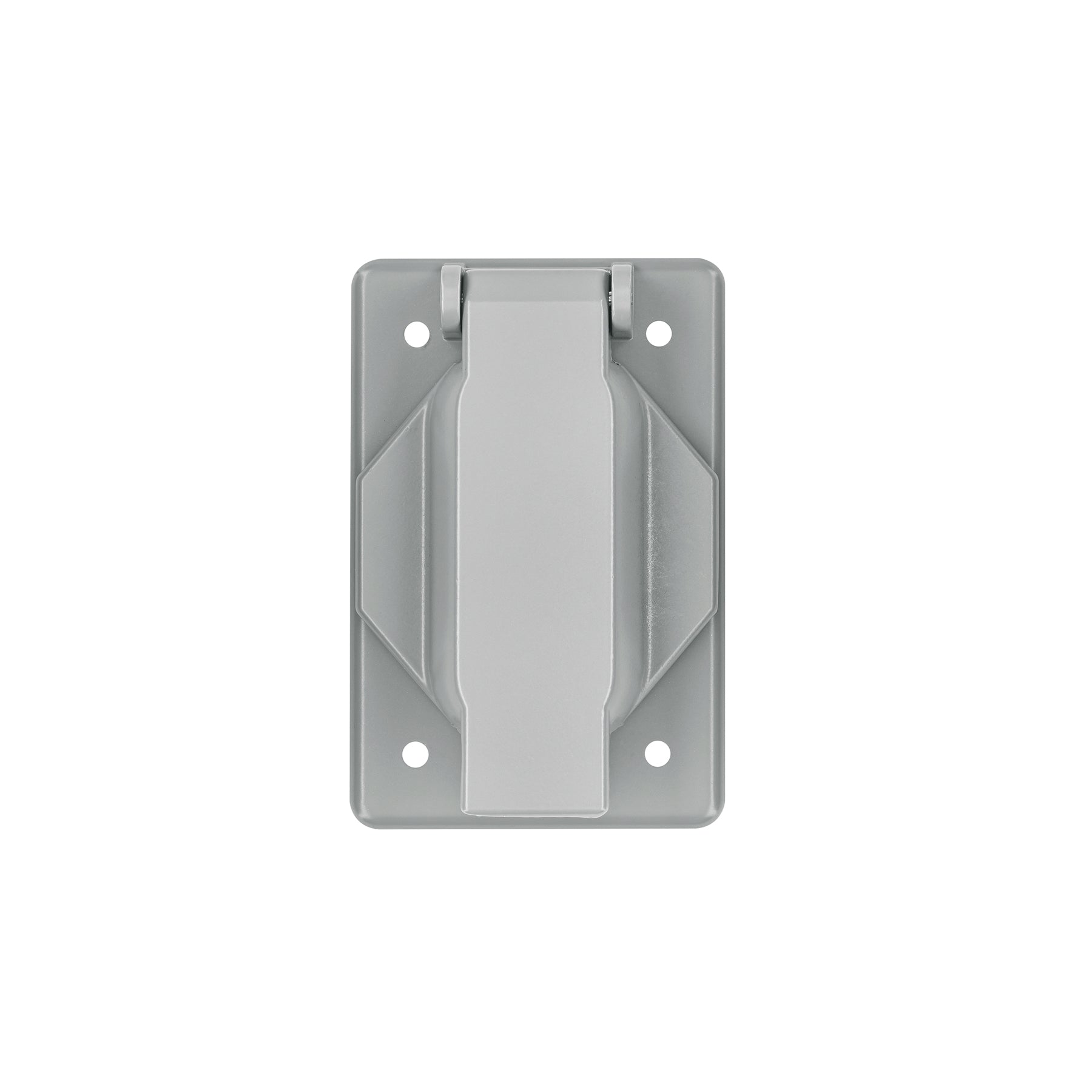 Placa tipo FS con cubierta, sencilla, sobreponer, Volteck | PAFIN-SES | 46434